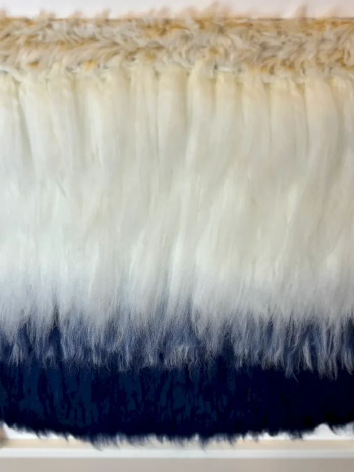 Swell - Imagen 3